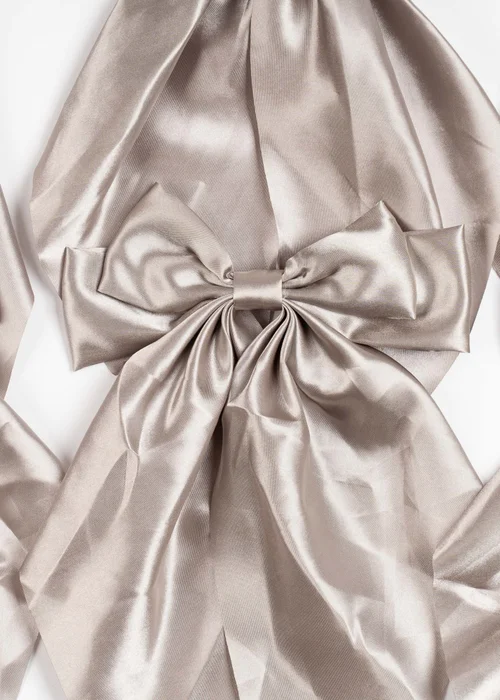 Scottish Everlastings Satin Bow Clip 6pc Set Silver 19cm - One Size Image 2