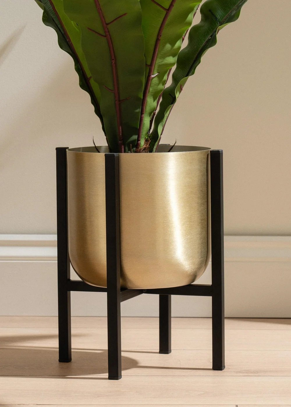 Scottish Everlastings Gold Planter on Black Stand Small - One Size Image 2