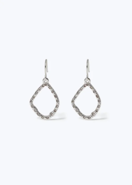 Muse Silver Fishhook Earrings - One Size Image 1