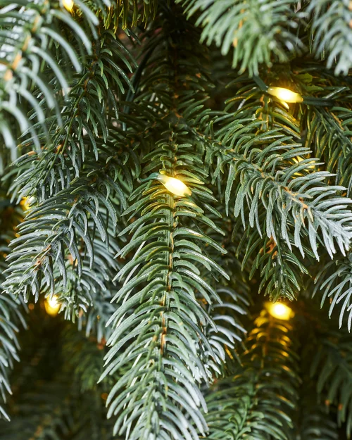 WeRChristmas Green Pre-Lit Frosted Potted Artificial Christmas Tree 115 Warm White Leds 3.5 Ft - No Size Image 4