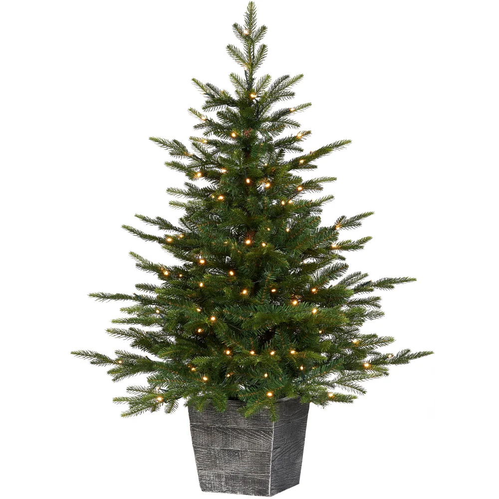 WeRChristmas Green Pre-Lit Potted Grand Fir Artificial Christmas Tree 100 Warm White Leds 4 Ft - No Size Image 1