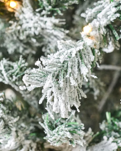 WeRChristmas Green Pre-Lit Snow-Flocked Mixed Pine Christmas Tree 7 Ft - No Size Image 4