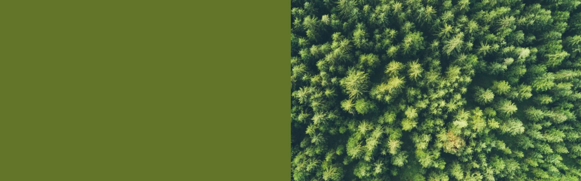 More circular business models