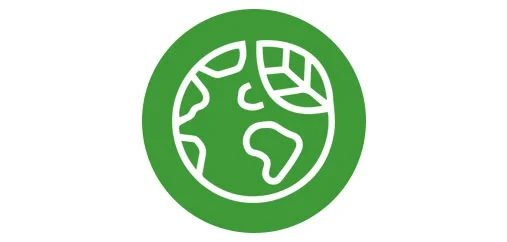 Working with experts